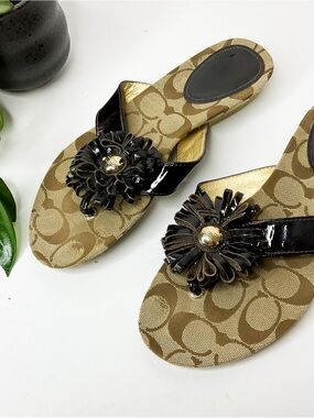Coach Signature Canvas Thong Sandals Black Flower 9